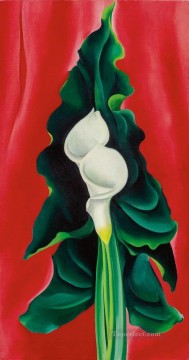 ジョージア・オキーフ Painting - 赤いオランダカイウユリ ジョージア・オキーフ アメリカのモダニズム 精密主義